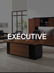 EXECUTIVE